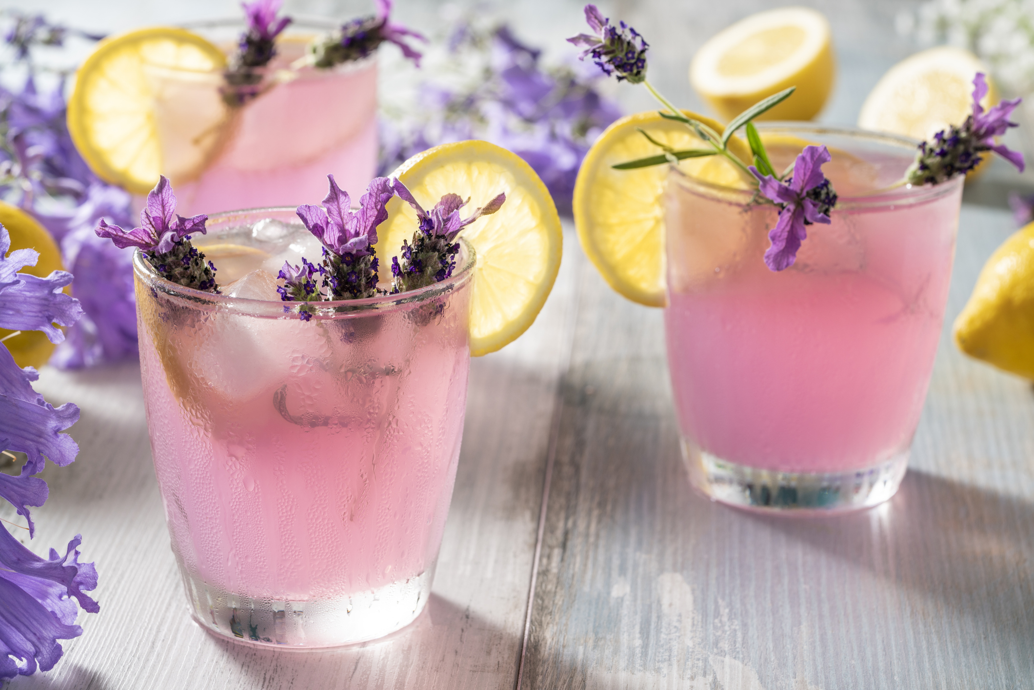 Lavender Lemon Fizz