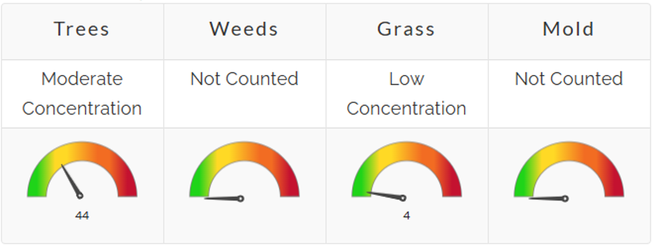 Pollen dashboard
